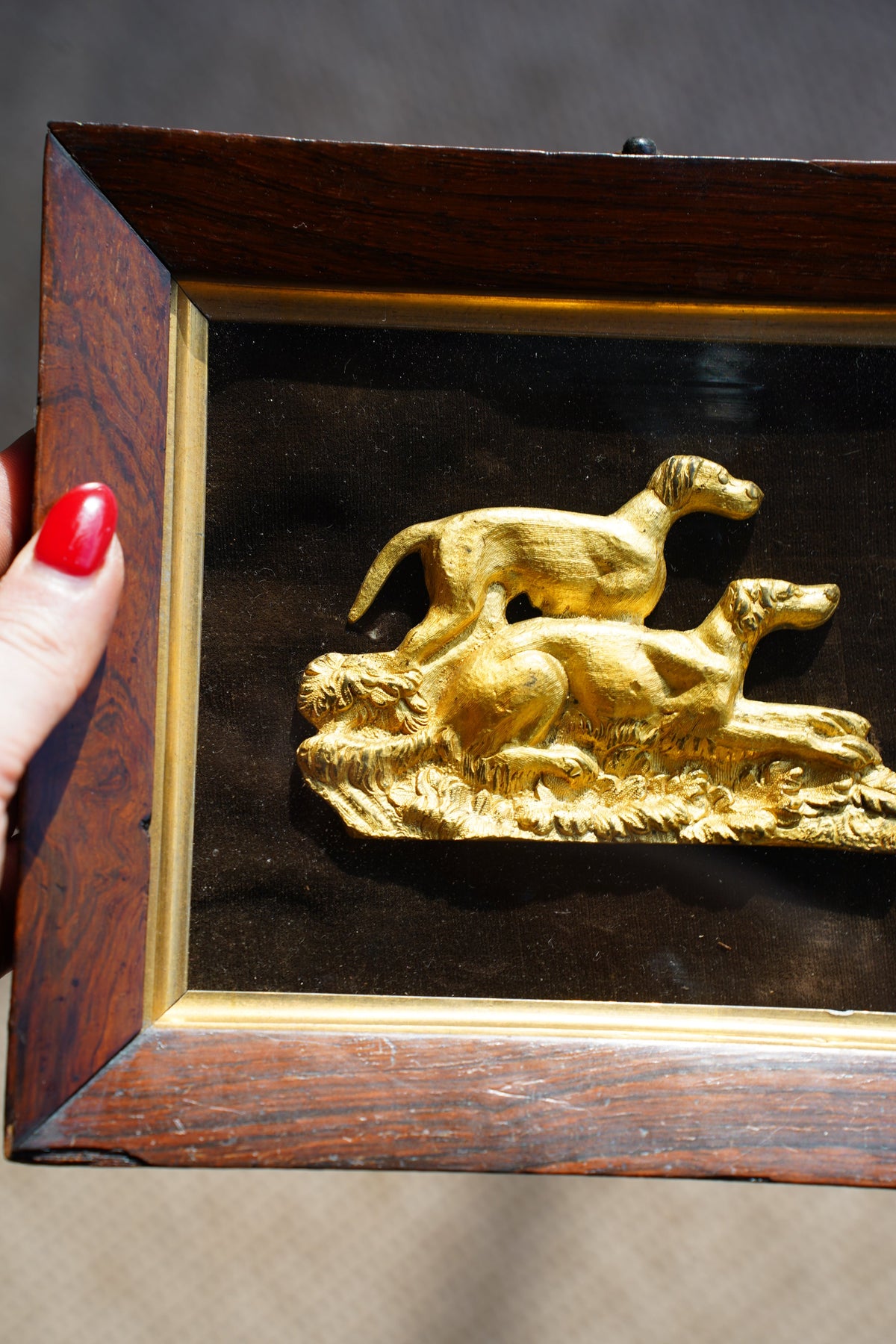 Antique Gilt Hunting Dog Relief, Rosewood Shadowbox Frame, 19th Century