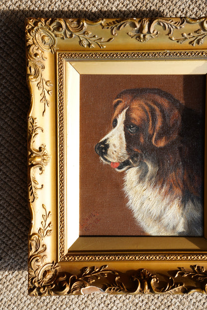 Antique Signed St. Bernard Dog Portrait Oil Painting