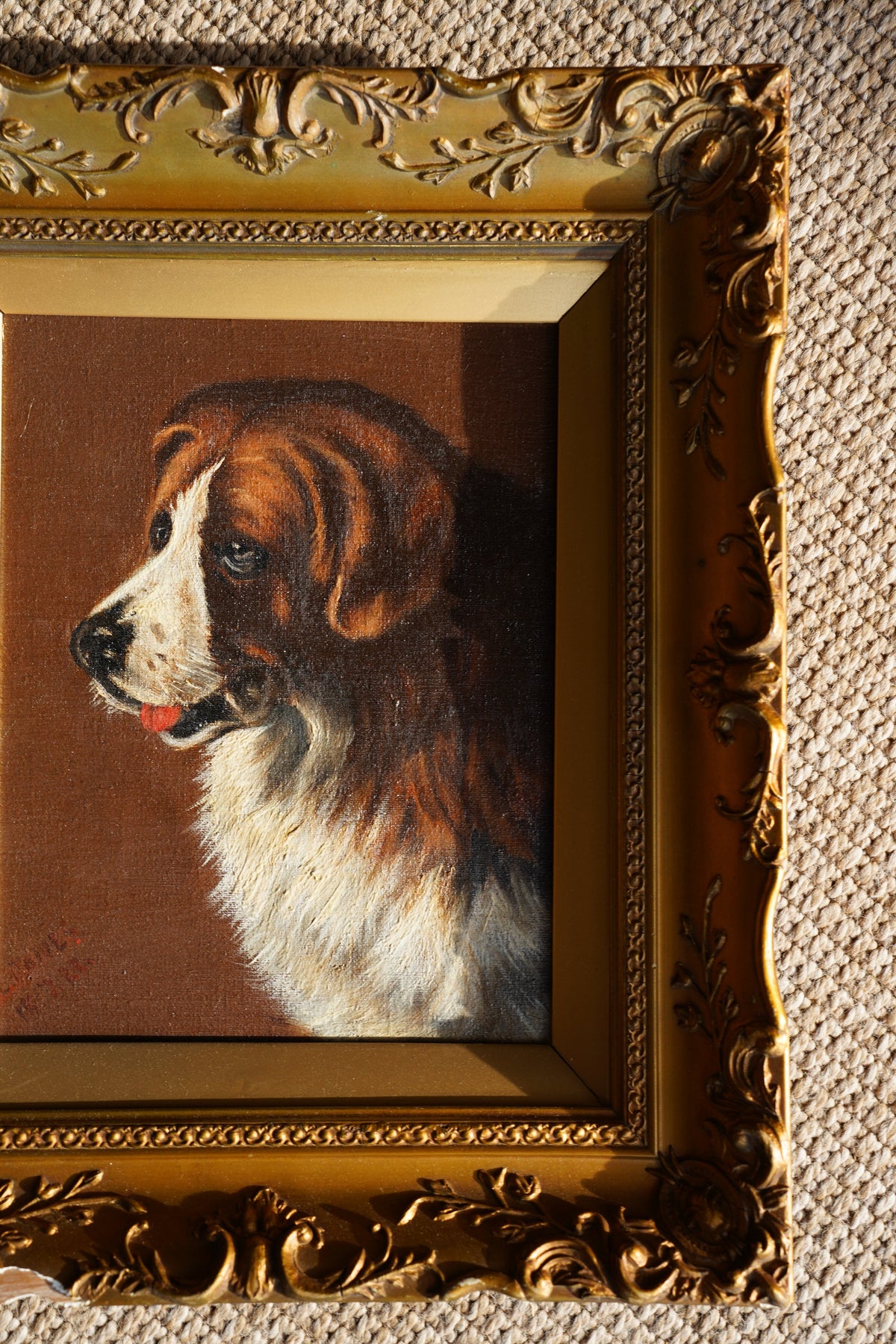 Antique Signed St. Bernard Dog Portrait Oil Painting