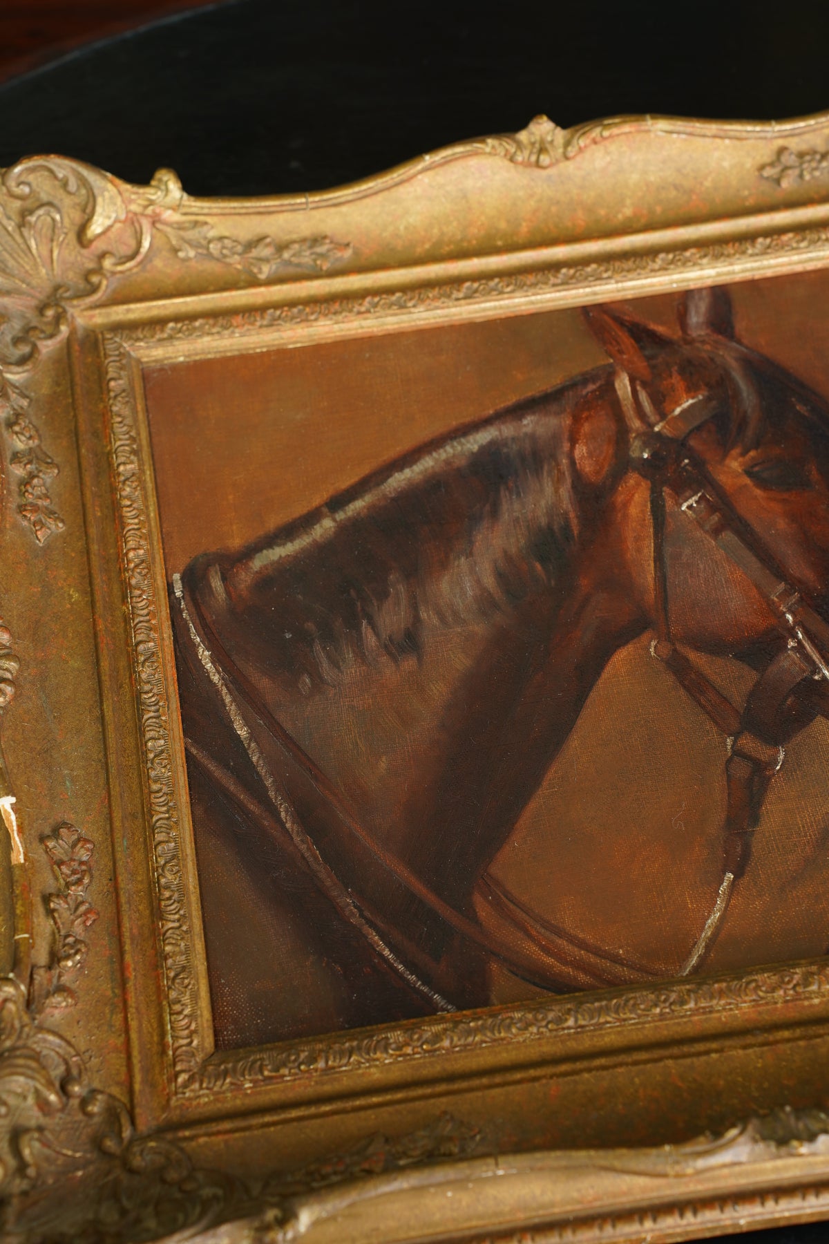 Antique Horse Head Oil Painting in Gilt Frame, Circa 1910