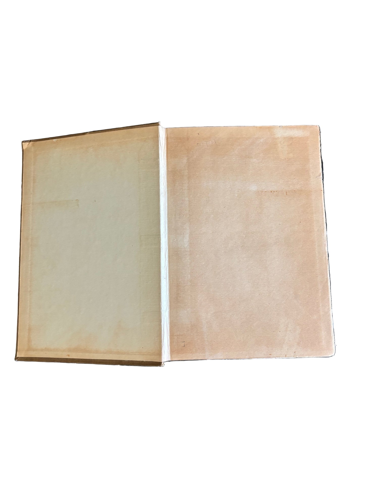 The Colour of London Book, 1914 Illustrated London History and City Guide