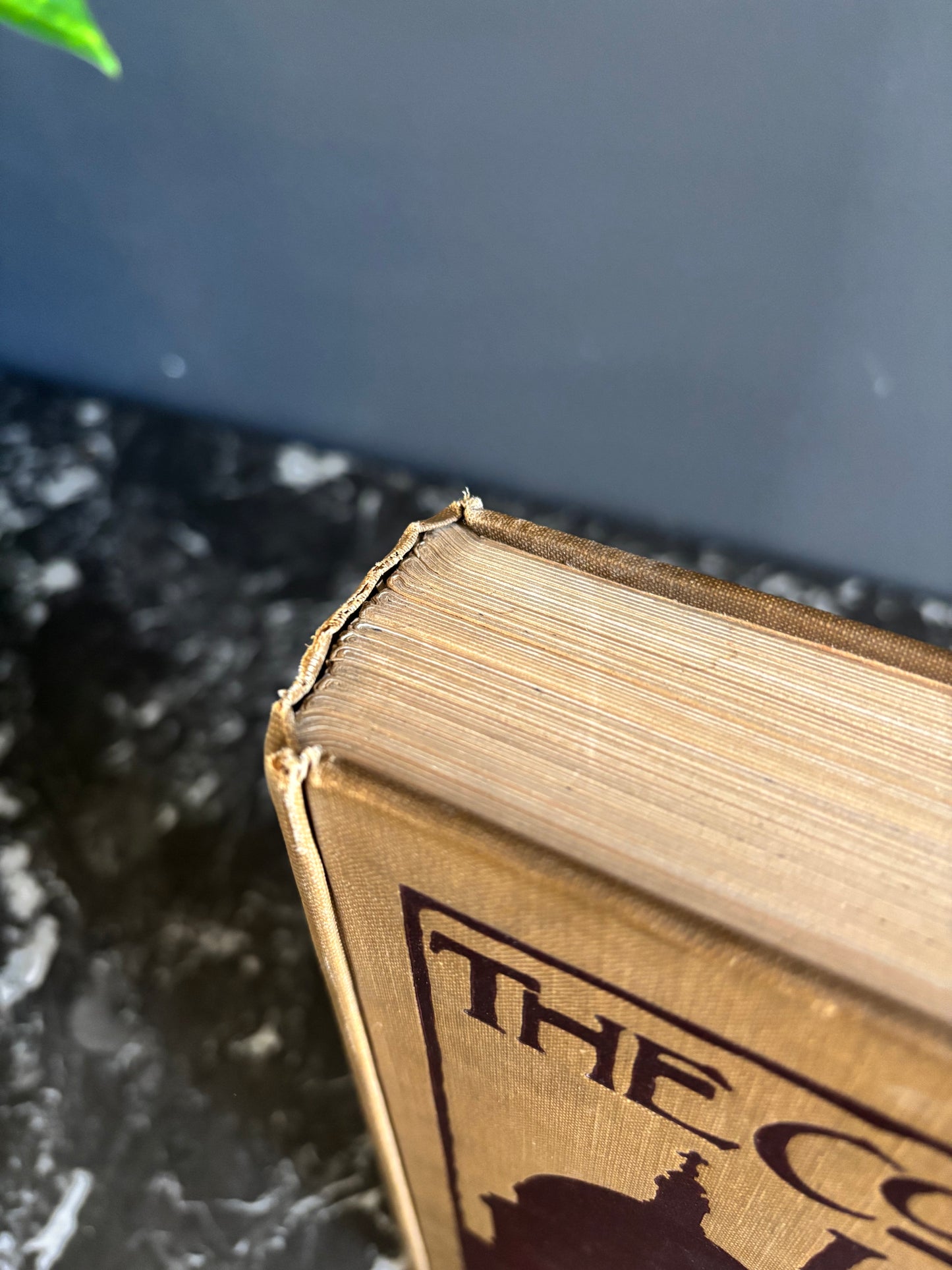 The Colour of London Book, 1914 Illustrated London History and City Guide