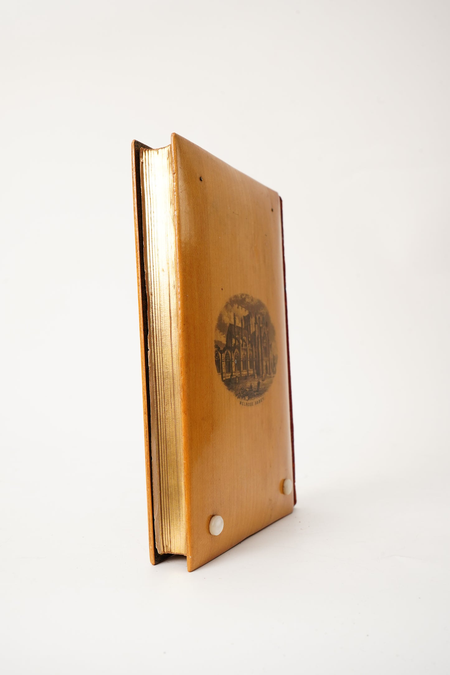 Antique Poetry Book Lady of the Lake Walter Scott Mauchline Binding