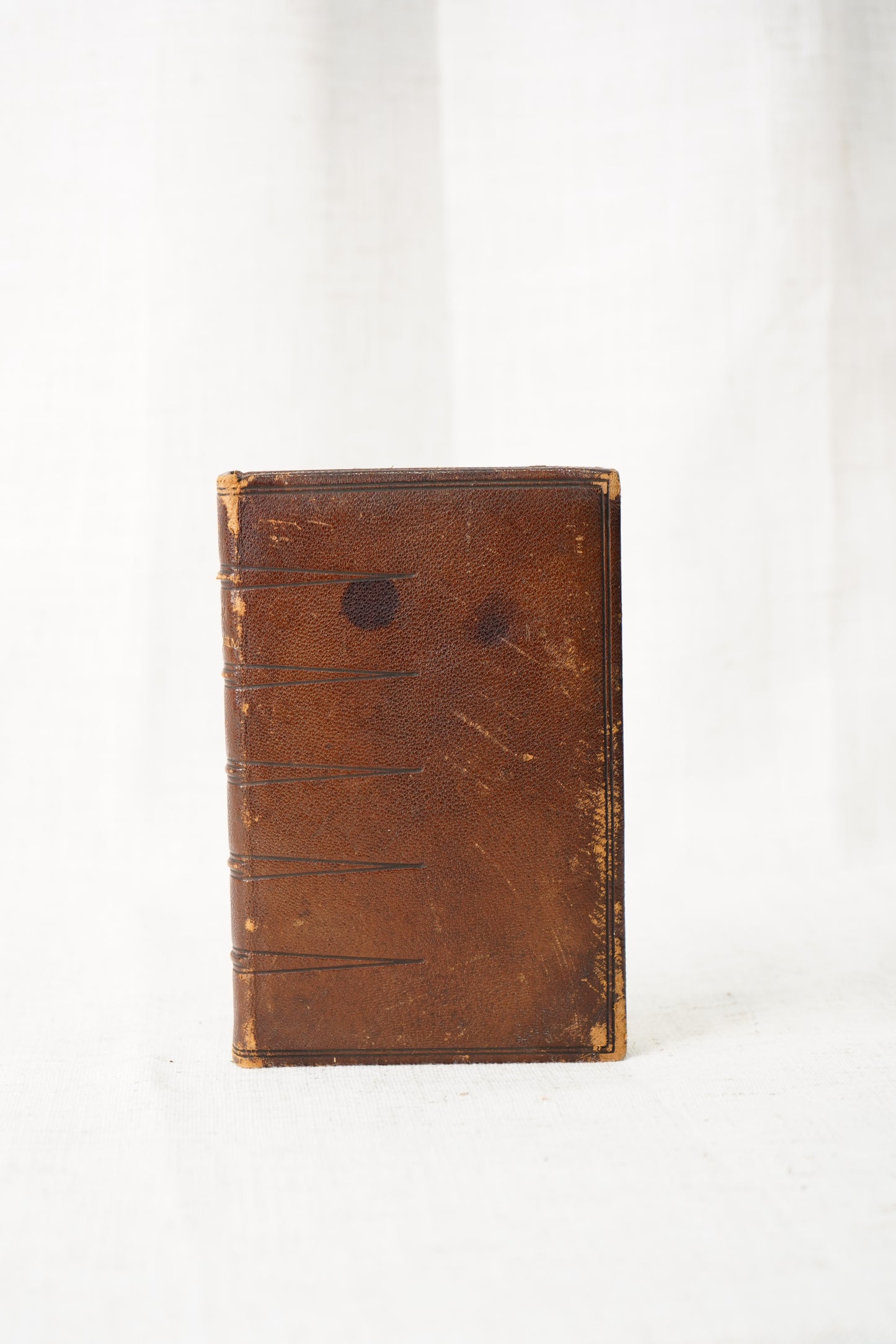 1852 Theodore Beza Novum Testamentum Gauffered Edge Book
