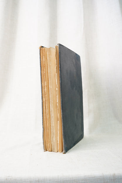 Antique Lace History Book, Seven Centuries of Lace, 1908