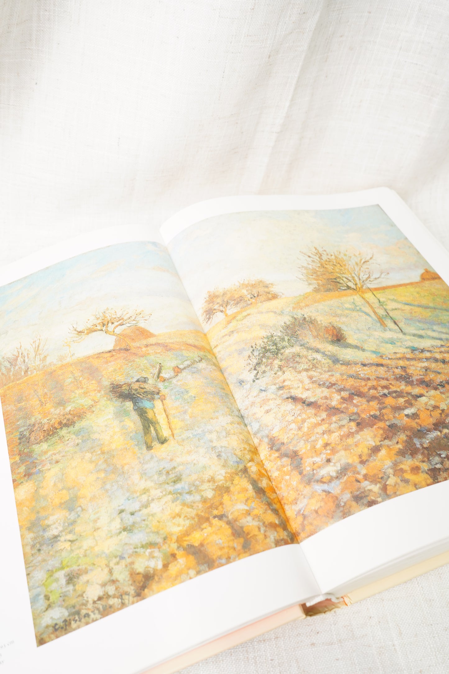 Impressionist Art Coffee Table Book TASCHEN Hardcover Large Format