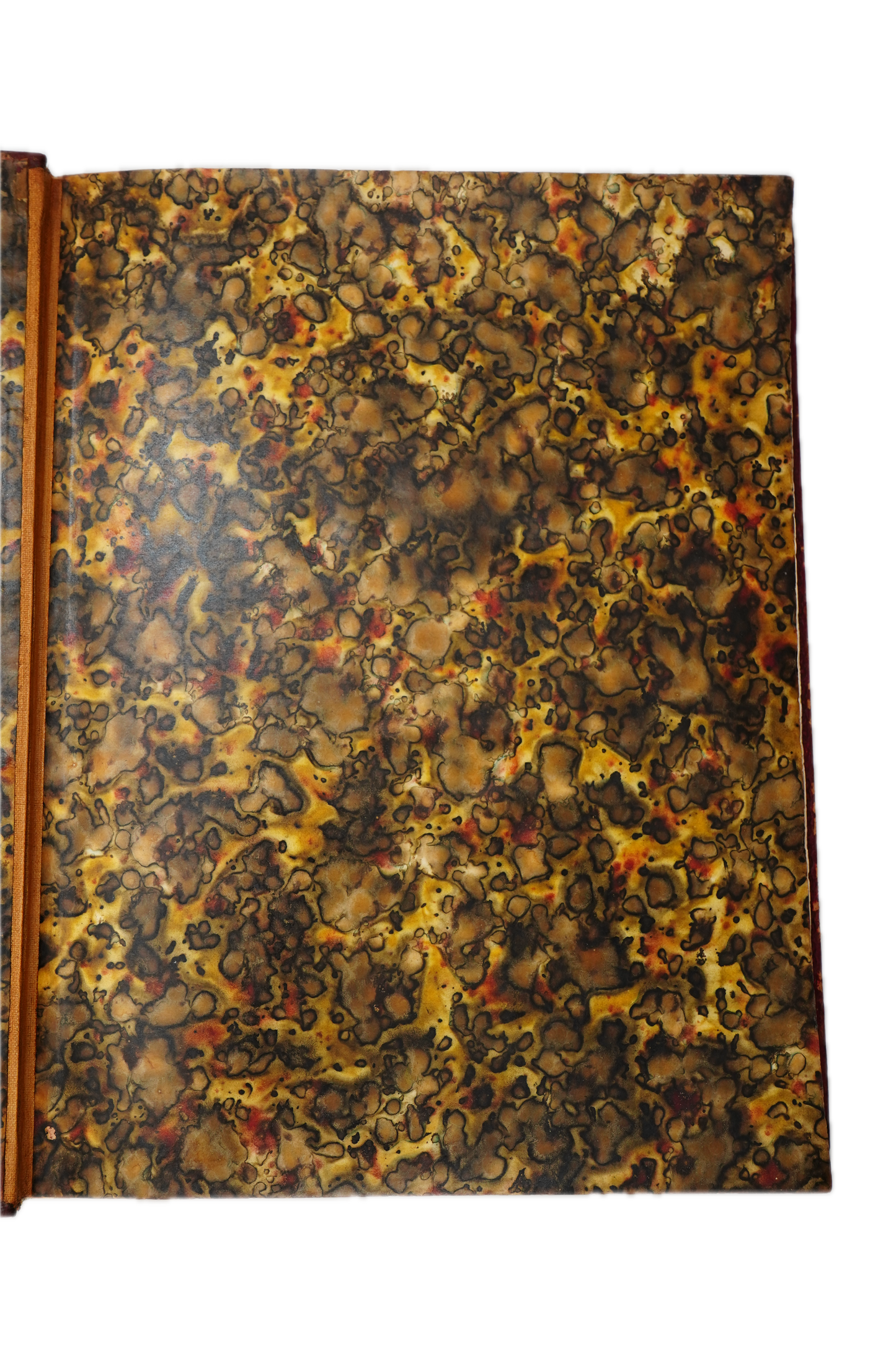1830 Wales Illustrated Gastineau Full Leather
