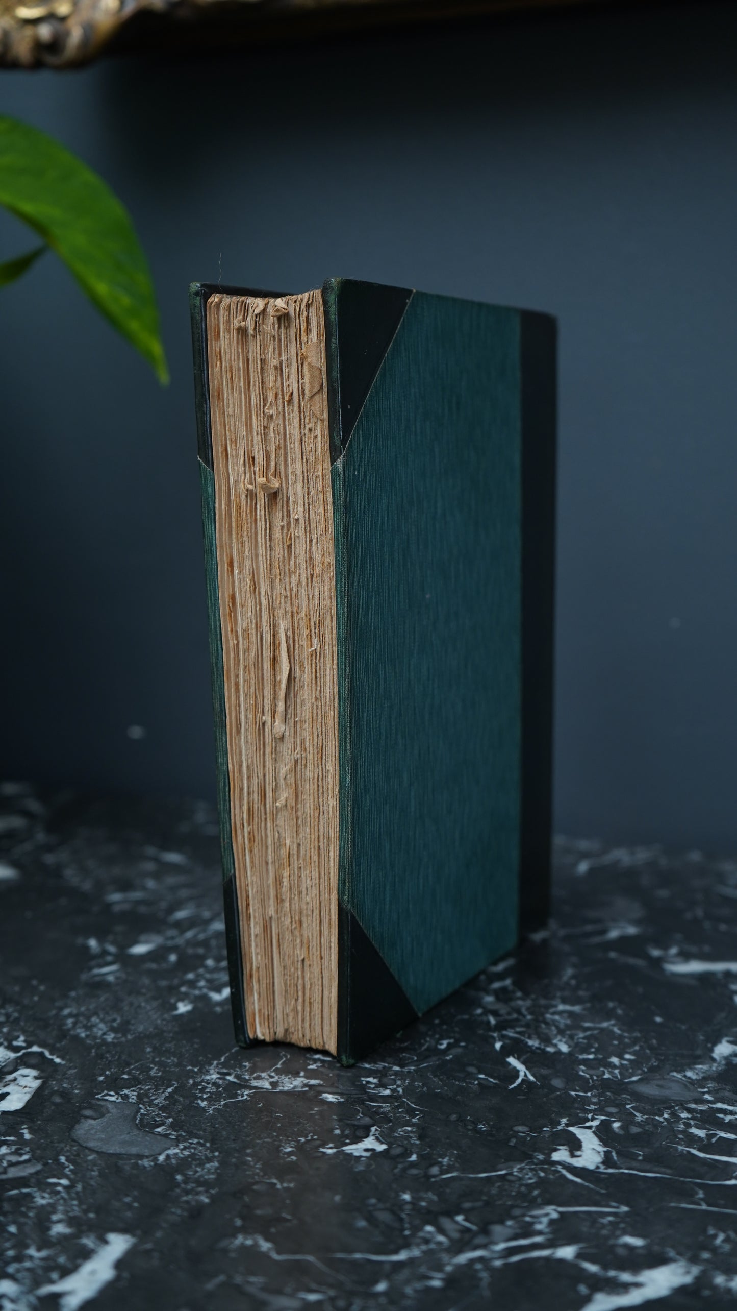 1908 Old Testament Stories Prize Binding Art Nouveau Leather