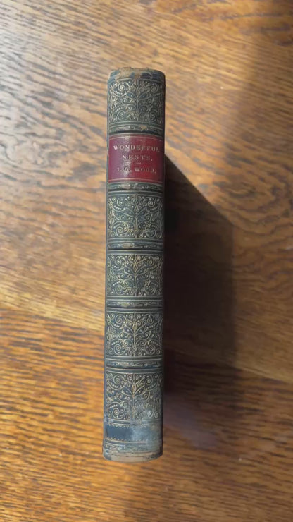 1892 Wonderful Nests, Victorian Natural History Bird Book