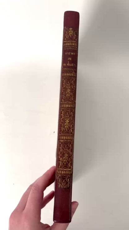 1830 Wales Illustrated Gastineau Full Leather