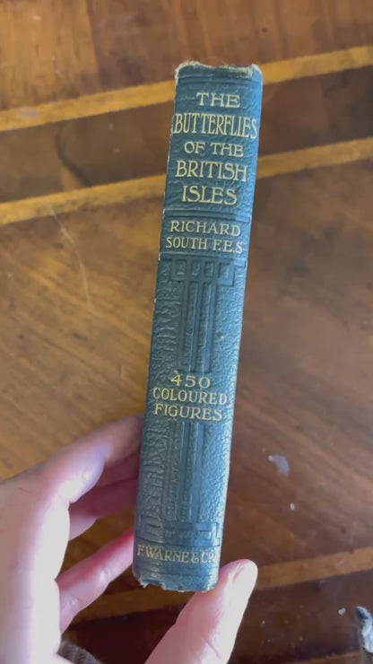 1906 Richard South The Butterflies of the British Isles